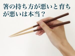 箸の持ち方が汚いと育ちが悪いは本当? | わらびちゃんねる