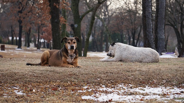「実は頭がいい女」と「頭が悪い」と思われる女性の4つの決定的な違い