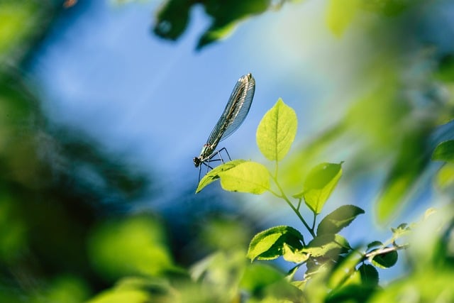 「目がキラキラしてる人」に関する注意点|病気のサイン?