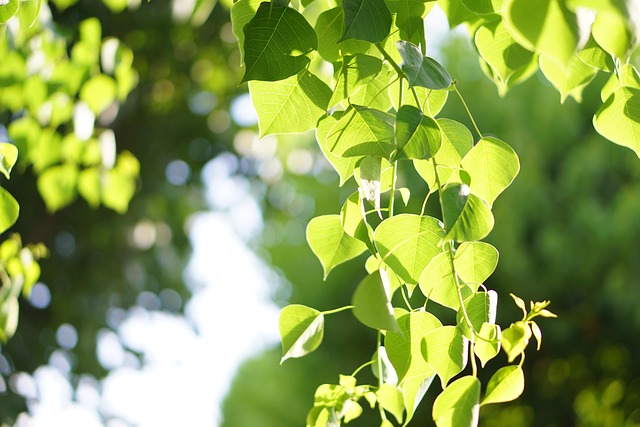 目がキラキラしてる人になるための方法【内面と外見からのアプローチ】