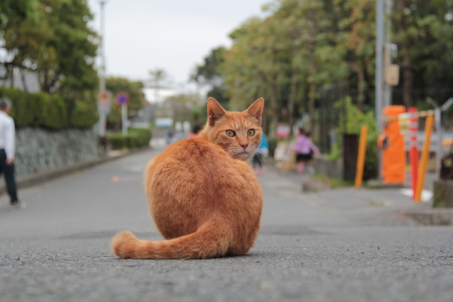 自分が正しいと思っている人に疲れた時の心の整え方