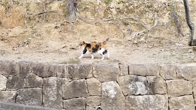 まとめ｜自分が正しいと思っている人への理解と適切な距離感