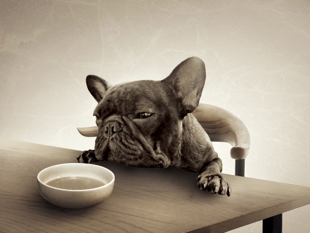 自分が正しいと思っている人は病気や発達障害の可能性もある？