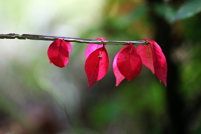 嫌いな人への拒絶反応を悪化させないために！絶対に避けるべきNG行動