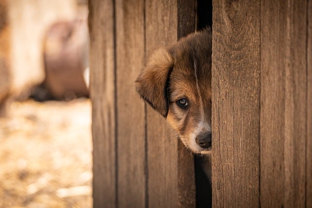 【チェックリスト】あなたは当てはまる?セルフ診断