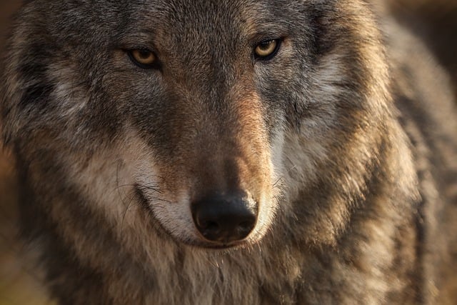 仕事ができない印象を与えてしまう原因
